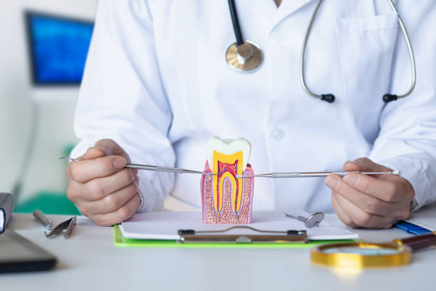 Best Pediatric Emergency Dentist in Seneca, SC